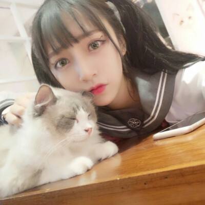 光遇魅族版下载